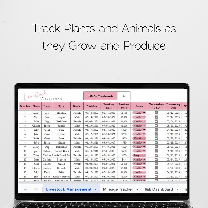 May include: A computer screen displaying a spreadsheet with a list of animals and their information, including name, breed, type, gender, birthdate, purchase date, purchase price, status, vaccinations, deworming date, and weight. The spreadsheet is titled "Livestock Management".
