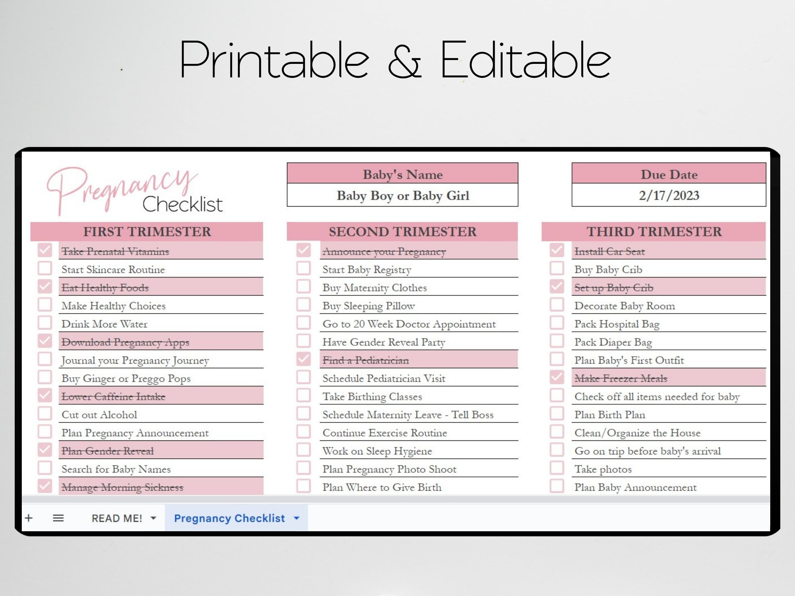 Pregnancy Checklist by Trimester Google Sheets, Pregnancy Planner ...