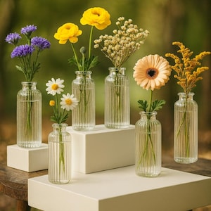 Set of 6 Clear Ribbed Glass Bud Vases – 5.2” Small Flower Vases for 3–6 Stems, Minimalist Table Décor for Home, Wedding & Events