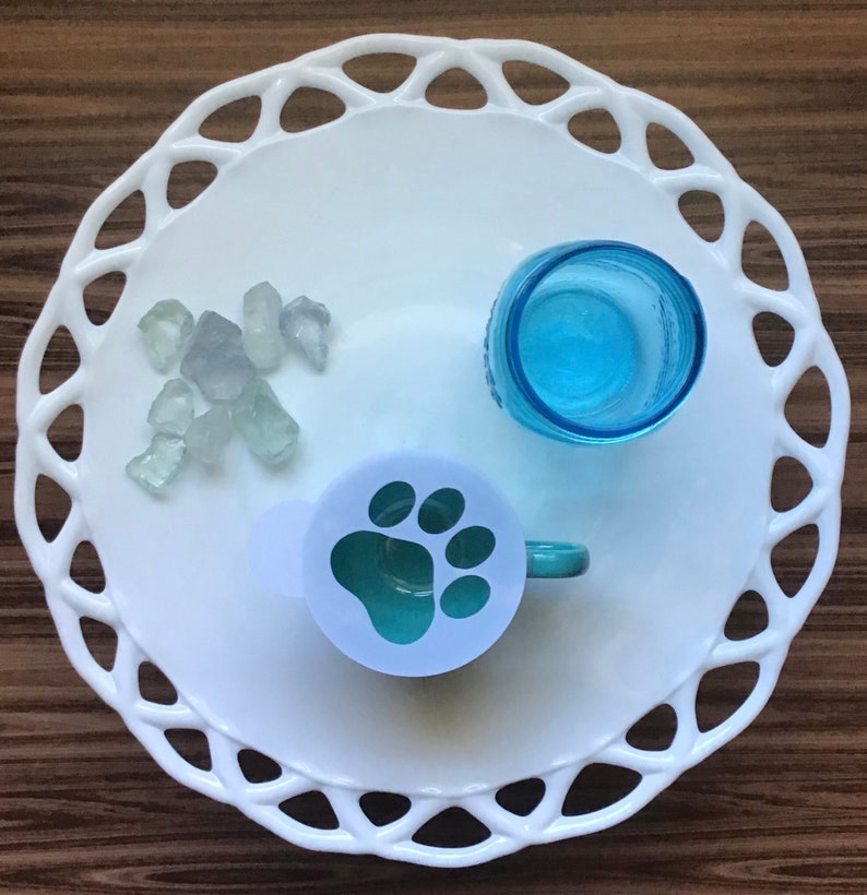 Stencil Paw Print Cookie Stencil Reusable Paw Print Stencil Etsy