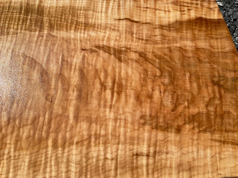 Guitar Billet Fiddleback Curl Big Leaf Maple 2x12x24 (also 13” Wide on ...