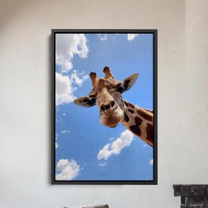 Lienzo decorativo de jirafa divertida, estampado animal divertido, decoración para habitación infantil, obra de arte de jirafa juguetona, listo para colgar.