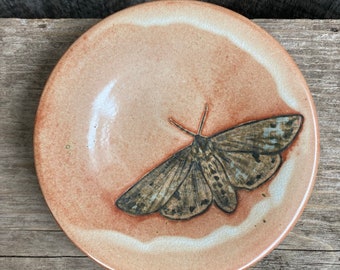 Isabella tiger moth dish
