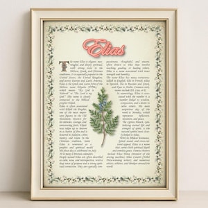 Elias Name Meaning Print – Vintage Floral Art, Etymology, Numerology & Saint, Personal Wall Decor, Instant Digital Download (PDF)