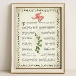 Ivy Name Meaning Print – Vintage Floral Art, Etymology, Numerology & Saint, Personal Wall Decor, Instant Digital Download (PDF)