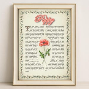Poppy Name Bedeutung Print - Vintage Blumenkunst, Etymologie, Numerologie & Heiliger, persönliche Wanddekoration, sofortiger digitaler Download (PDF)