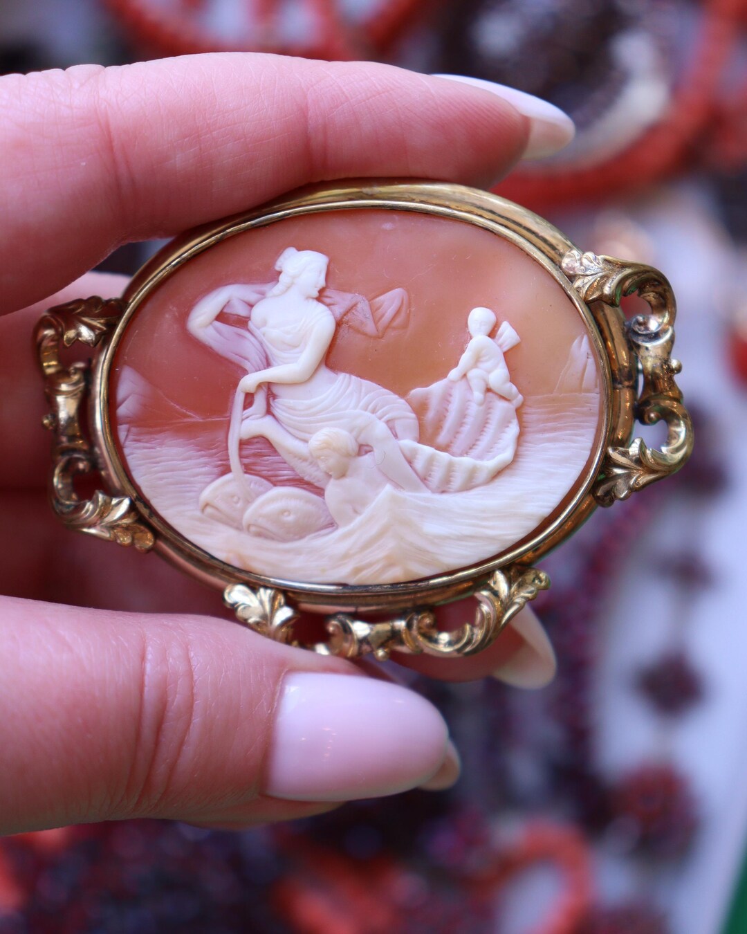 Antique Shell Cameo Brooch Gold Filled Frame 2nd Half 19th