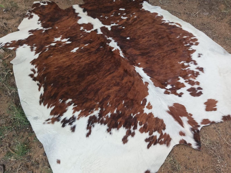 May include: A brown, black, and white cowhide rug with a natural, irregular shape. The rug is laid out on a wooden floor.