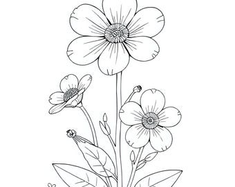 Wildflower Coloring Pages, 60 Floral Designs (PDF, SVG, PNG)