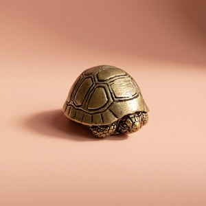 May include: A small, antique-style brass turtle figurine. The turtle has a detailed shell pattern and a textured head and legs. The figurine is set against a soft, peach-coloured background.