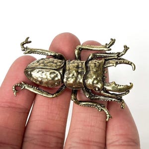 Brass Stag Beetle Figurine: Entomology Decor, Gothic Oddities