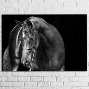 Horse Tempered glass Wall art, Animal Extra Large Glass wall art ,Glass wall Decor ,Black Horse large glass wall art ,Modern Decor