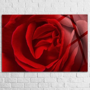 Red Rose Tempered glass wall art Floral, Extra Large Glass wall art, Glass wall Decor, home office gift , Modern Home Decor idea unique
