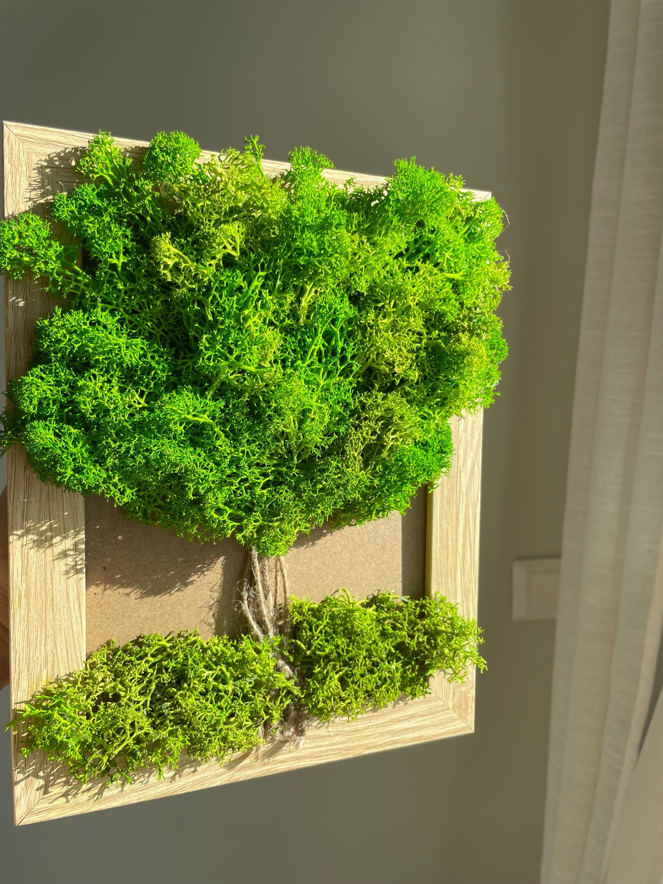 Handmade Tree of Life Moss Wall Art – Scandinavian Eco Decor - Etsy