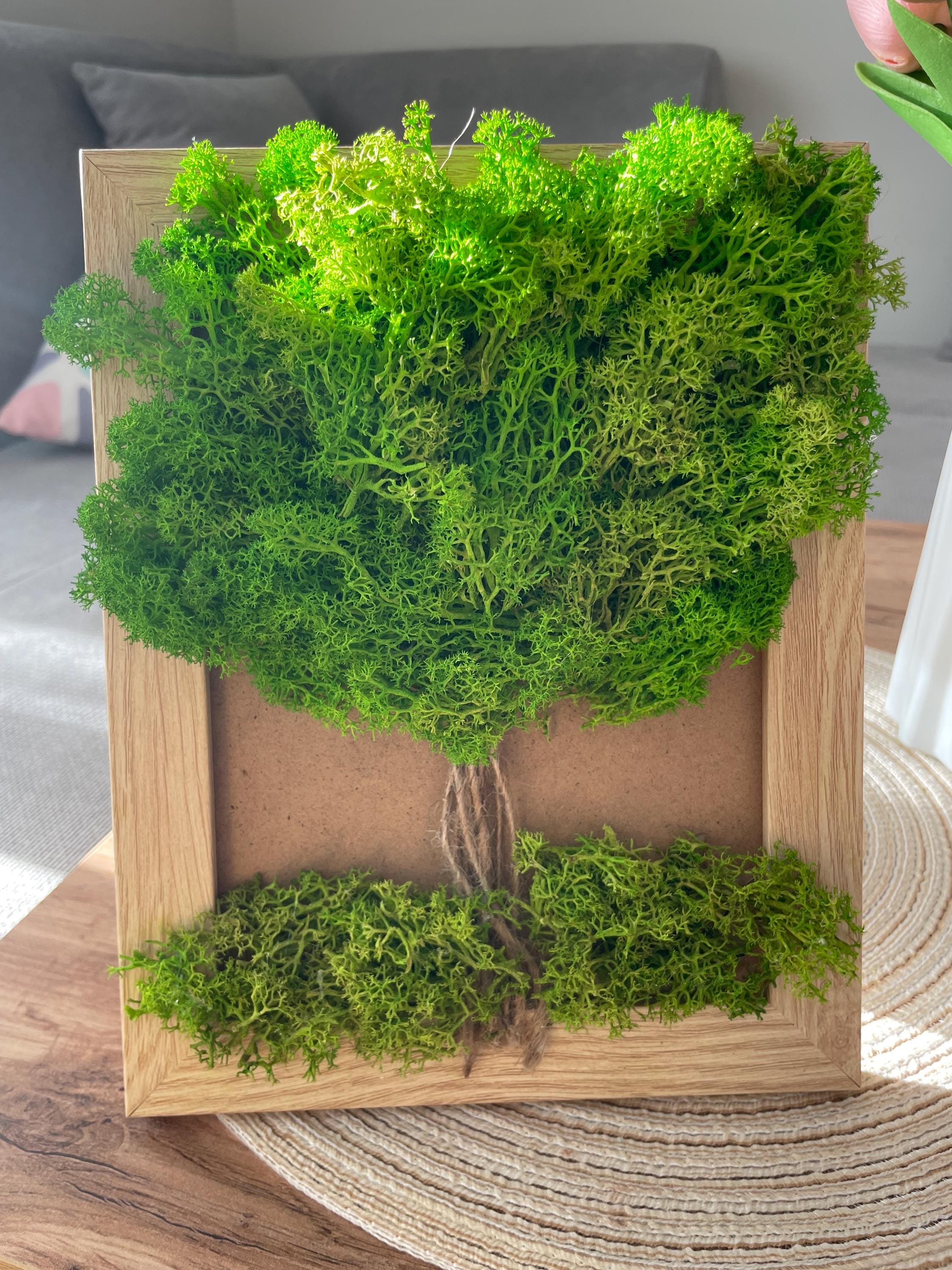 Handmade Tree of Life Moss Wall Art – Scandinavian Eco Decor - Etsy