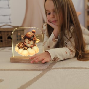 Woodland Owl Night Light, LED Acrylic Animal Lamp for Nursery, Baby Night Light with Wooden Base, Cute Owl Bedside Lamp