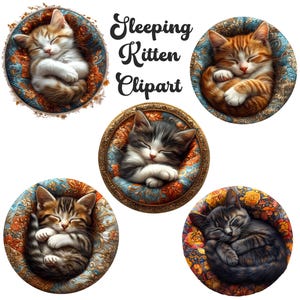 Clipart di gatto addormentato, file JPG di alta qualità, clipart acquerello, download digitale, immagini di gatti, licenza commerciale