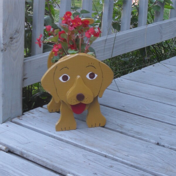 Golden Retreiver Puppy