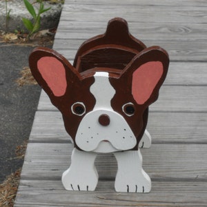 Boston Terrier "Brownie"