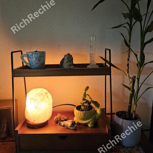 May include: A two-tiered wooden shelf with a metal frame. The top shelf holds a blue and white mug, a hedgehog figurine, and a glass vial. The bottom shelf features a glowing salt lamp, a turtle planter, and small rocks. A drawer is at the bottom.