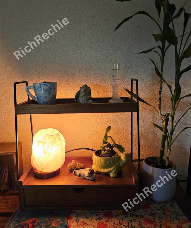 May include: A two-tiered wooden shelf with a metal frame. The top shelf holds a blue and white mug, a hedgehog figurine, and a glass vial. The bottom shelf features a glowing salt lamp, a turtle planter, and small rocks. A drawer is at the bottom.