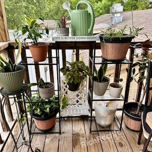 May include: A collection of potted plants on a wooden deck, displayed on black metal plant stands. A green watering can and a sign that reads "Life is better down south" are also visible. The plants vary in size and type, creating a vibrant outdoor display.