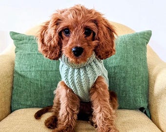 May include: A small, brown dog wearing a light green knitted sweater sits on a light brown couch with a green cushion. The word "MINT" is written in black text in the upper right corner of the image.