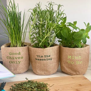 Könnte beinhalten: Drei Jutesäcke mit wachsenden Kräutern. Die Säcke sind mit "Good Chives Only", "'Tis the Seasoning" und "Mint To Be" beschriftet.