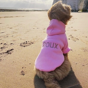 May include: A small, light pink dog hoodie with the name "Roux" embroidered on the back. The dog is wearing the hoodie and sitting on a sandy beach.