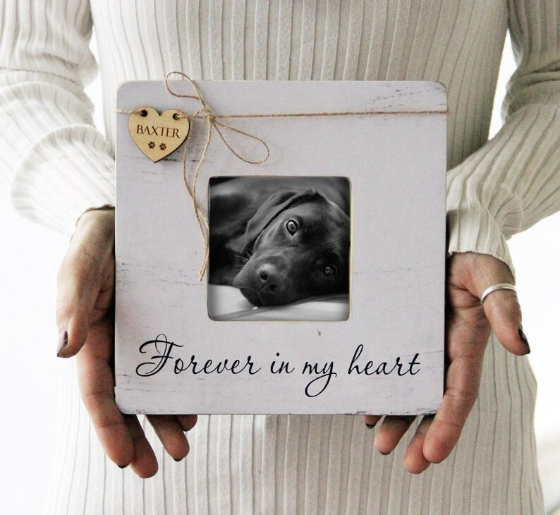 Pet Memory Picture Frame, Pet Picture Frame, Forever In My Heart Frame, Loss Of A Pet, Pet Loss Gift Idea 