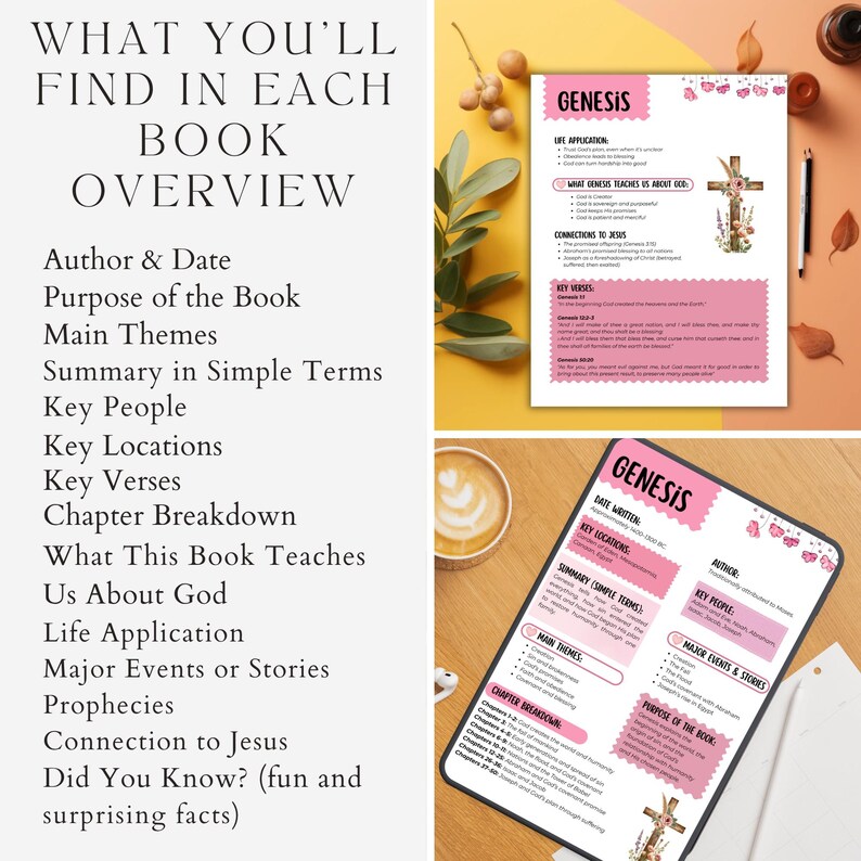 Faith based printable Bible guide includes key themes and summaries for each book