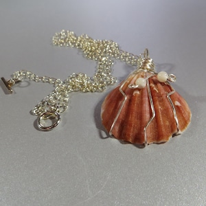 Wire Wrapped Fan Shell Necklace, Treasure From the Sea Necklace, One of a Kind Necklace, Unisex Necklace