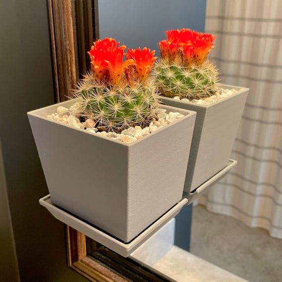 Window/Mirror Mounted Floating Flower Planter (Pot) With Removable Drip  Tray, Ideal For Succulents/Cactus/Herbs/& More - Modern Farmhouse