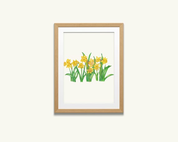 水仙ガーデンアート：オリジナル色鉛筆植物画 - Etsy 日本