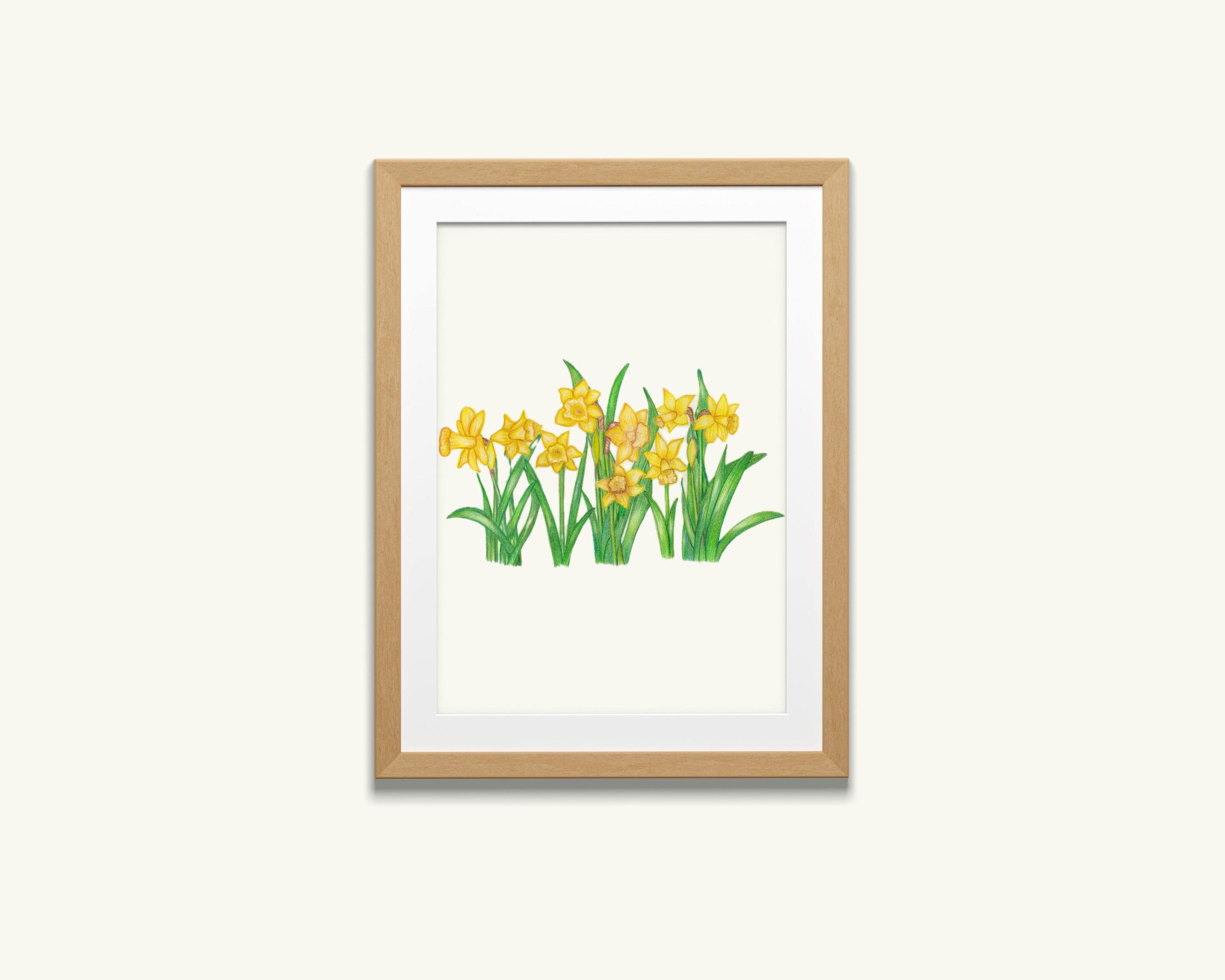 水仙ガーデンアート：オリジナル色鉛筆植物画 - Etsy 日本