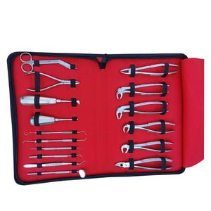 Dental Instruments Set: 16-Piece Stainless Steel Oral Surgery Tools
