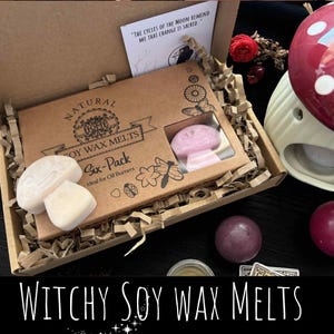 Könnte beinhalten: Eine Schachtel mit Sojawachs-Schmelzen mit dem Text "Witchy Soy Wax Melts". Die Schachtel enthält eine Sechs-Packung Wachsschmelzen, darunter Pilz- und Steinformen. Die Schachtel enthält auch eine Karte mit dem Text "Die Zyklen des Mondes erinnern mich daran, dass Veränderung heilig ist."