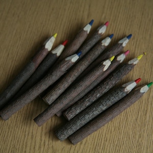 Twig Colored Pencils Set | Rustic Natural Wood Crayons | Eco Art Gift for Kids & Adults | Forest-Themed Stationery