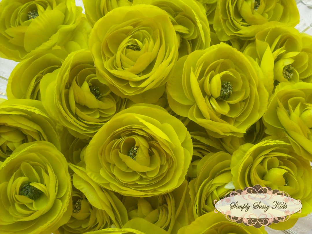 Lime Ranunculus Lime Green Ranunculus Flower Heads: Silky Soft DIY Bouquet Flowers (3 ...