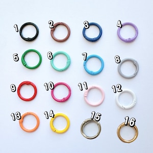 5 anelli a molla colorati – Moschettone portachiavi in metallo, accessorio per borsa (25 mm)
