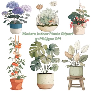 51 imágenes prediseñadas de plantas de interior: plantas en maceta, cactus, flores, plantas de interior y frutas. Imágenes PNG botánicas para arte mural, pegatinas y decoración del hogar.