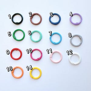 Könnte beinhalten: Eine Sammlung von vierzehn runden, farbigen Metall-Federkarabinern. Die Karabiner sind in verschiedenen Farben erhältlich, darunter Schwarz, Braun, Blau, Lila, Grün, Türkis, Hellblau, Grau, Rot, Rosa, Hellrosa, Weiß, Orange und Gelb.