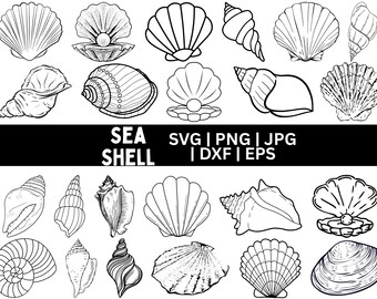 Sea Shells Line Art Embroidery Design: Beach Summer Ocean (Digital Download)