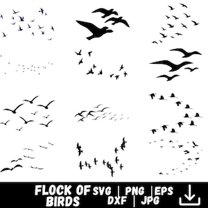 May include: A collection of black bird silhouettes in various flight formations against a white background. The image includes multiple flocks of birds, with some birds in flight and others in a stationary position. The text "FLOCK OF SVG | PNG | EPS | DXF | JPG" is at the bottom.