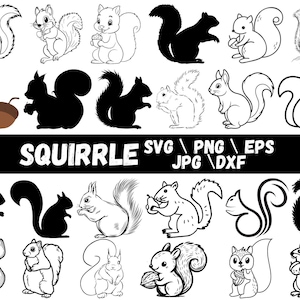 May include: Collection of squirrel illustrations in various poses, including silhouettes and line drawings. Some squirrels hold acorns. The word "SQUIRRLE" is displayed in large letters, along with file type abbreviations: SVG, PNG, EPS, JPG, and DXF.