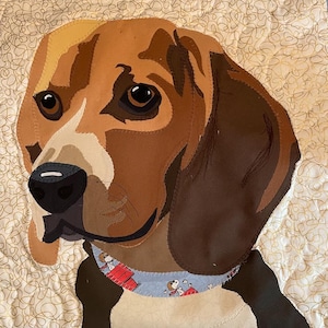 Puede incluir: Primer plano de un perro beagle marrón y blanco con orejas caídas. El perro lleva un collar azul y blanco con un diseño rojo y blanco.