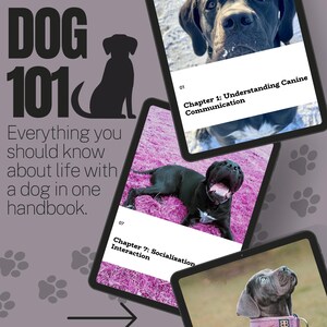 Mastering Canine Communication: A complete Guide for Dog Owners