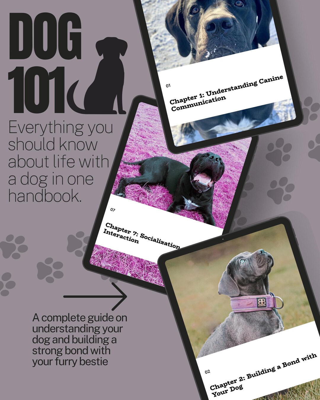 Mastering Canine Communication: A Complete Guide for Dog Owners - Etsy