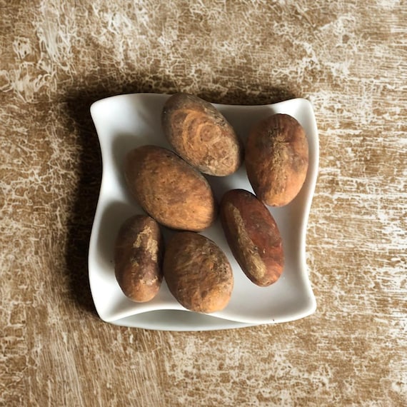 Noix De Petit Cola (Garcinia Kola) Fraîche - 50g, Produit Naturel Cameroun, Expiration 2027