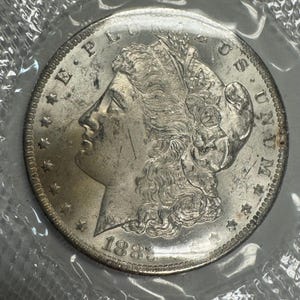May include: A silver coin featuring a profile of a woman with flowing hair, surrounded by the words "E PLURIBUS UNUM" and "LIBERTY". The year "1883" is visible at the bottom. The coin is in a protective plastic sleeve.
